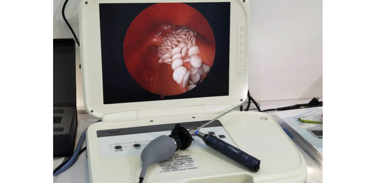 便攜式內(nèi)窺鏡冷光源 便攜式內(nèi)窺鏡冷光源