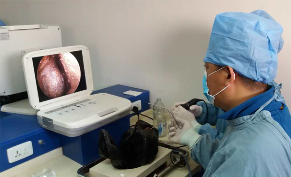 為什么越來越多的醫(yī)生選擇便攜式內(nèi)窺鏡？