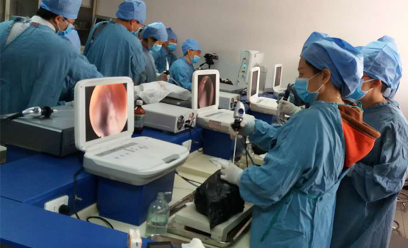 醫(yī)用內(nèi)窺鏡攝像機屬于幾類醫(yī)療器械？有什么作用？