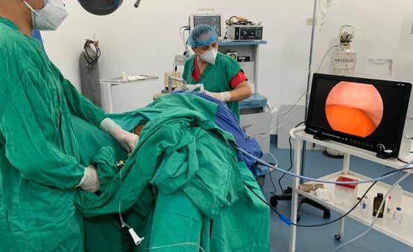 動(dòng)物怎么做鼻內(nèi)窺鏡檢查？