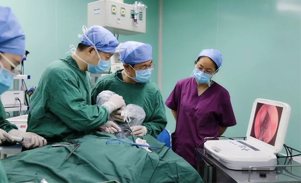 【神經(jīng)內鏡】鼻內鏡下經(jīng)鼻蝶入路腦垂體瘤切除術