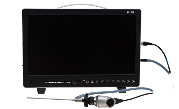 腹腔鏡技術(shù)在犬貓動物中的應用